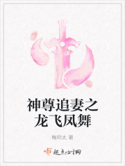 闪婚霸爱:老婆,晚上见免费阅读全文